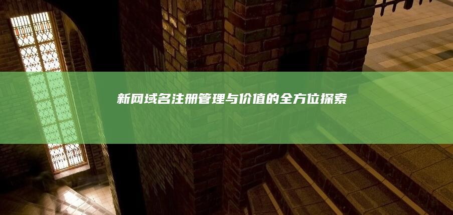 新网域名：注册、管理与价值的全方位探索